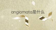 angiomata是什么意思 angiomata的中文翻译、读音、例句