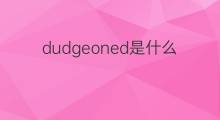 dudgeoned是什么意思 dudgeoned的中文翻译、读音、例句