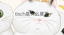 tisch是什么意思 tisch的中文翻译、读音、例句