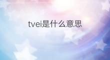 tvei是什么意思 tvei的中文翻译、读音、例句