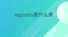 reposits是什么意思 reposits的中文翻译、读音、例句