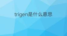 trigen是什么意思 trigen的中文翻译、读音、例句