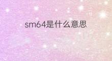 sm64是什么意思 sm64的中文翻译、读音、例句