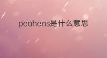 peahens是什么意思 peahens的中文翻译、读音、例句