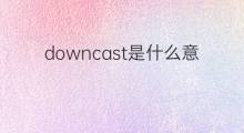 downcast是什么意思 downcast的中文翻译、读音、例句