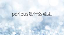 paribus是什么意思 paribus的中文翻译、读音、例句