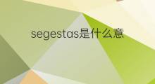 segestas是什么意思 segestas的中文翻译、读音、例句