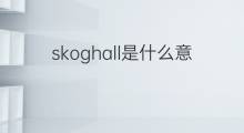 skoghall是什么意思 skoghall的中文翻译、读音、例句