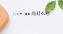 questing是什么意思 questing的中文翻译、读音、例句