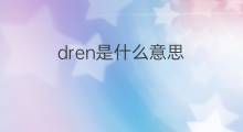 dren是什么意思 dren的中文翻译、读音、例句