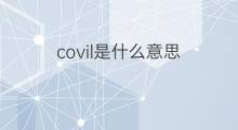covil是什么意思 covil的中文翻译、读音、例句
