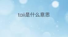 taii是什么意思 taii的中文翻译、读音、例句