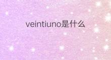 veintiuno是什么意思 veintiuno的中文翻译、读音、例句