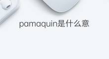 pamaquin是什么意思 pamaquin的中文翻译、读音、例句