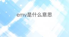 emv是什么意思 emv的中文翻译、读音、例句