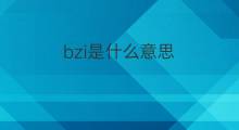 bzi是什么意思 bzi的中文翻译、读音、例句