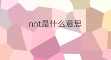nnt是什么意思 nnt的中文翻译、读音、例句