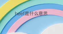 heef是什么意思 heef的中文翻译、读音、例句