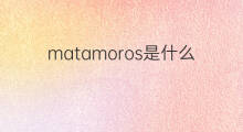 matamoros是什么意思 matamoros的中文翻译、读音、例句
