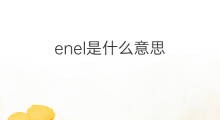 enel是什么意思 enel的中文翻译、读音、例句