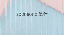 sponsorial是什么意思 sponsorial的中文翻译、读音、例句