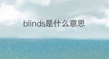 blinds是什么意思 blinds的中文翻译、读音、例句