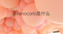 aminocarb是什么意思 aminocarb的中文翻译、读音、例句