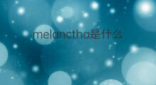 melanctha是什么意思 melanctha的中文翻译、读音、例句