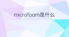microfoam是什么意思 microfoam的翻译、读音、例句、中文解释