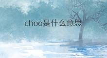 choa是什么意思 choa的中文翻译、读音、例句
