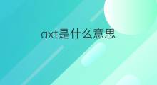 axt是什么意思 axt的中文翻译、读音、例句