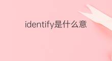 identify是什么意思 identify的中文翻译、读音、例句