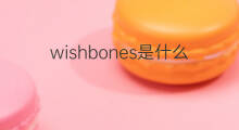 wishbones是什么意思 wishbones的中文翻译、读音、例句