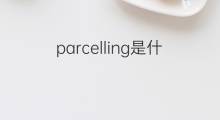 parcelling是什么意思 parcelling的翻译、读音、例句、中文解释