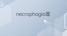 necrophagia是什么意思 necrophagia的中文翻译、读音、例句