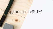 phantasma是什么意思 phantasma的中文翻译、读音、例句