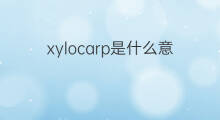xylocarp是什么意思 xylocarp的中文翻译、读音、例句