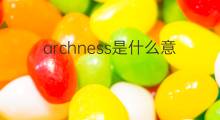archness是什么意思 archness的中文翻译、读音、例句
