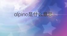 alpino是什么意思 alpino的中文翻译、读音、例句