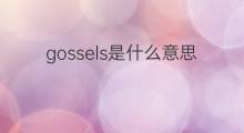 gossels是什么意思 gossels的中文翻译、读音、例句