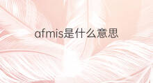 afmis是什么意思 afmis的中文翻译、读音、例句