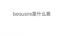beausire是什么意思 beausire的中文翻译、读音、例句