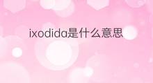 ixodida是什么意思 ixodida的中文翻译、读音、例句