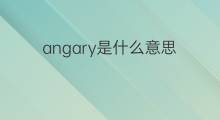 angary是什么意思 angary的中文翻译、读音、例句
