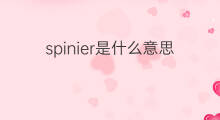 spinier是什么意思 spinier的中文翻译、读音、例句