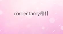 cordectomy是什么意思 cordectomy的中文翻译、读音、例句