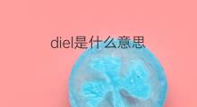 diel是什么意思 diel的中文翻译、读音、例句