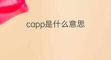 capp是什么意思 capp的中文翻译、读音、例句