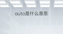 auto是什么意思 auto的中文翻译、读音、例句