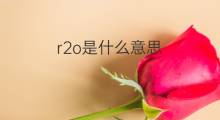 r2o是什么意思 r2o的中文翻译、读音、例句